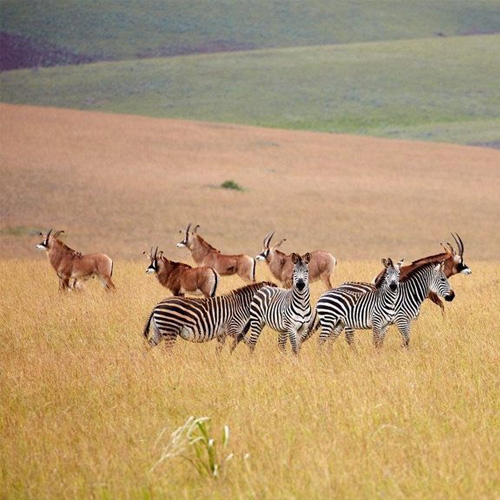 Northern Malawi